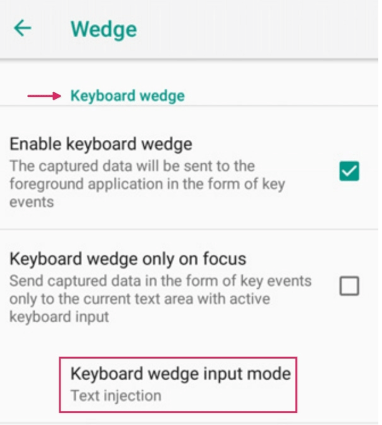 Datalogic 扫描仪上的 Wedge 配置菜单。